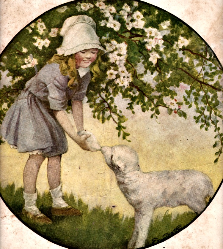 Good Luck to Cora Belle! by Elinore Rupert Stewart, 1915