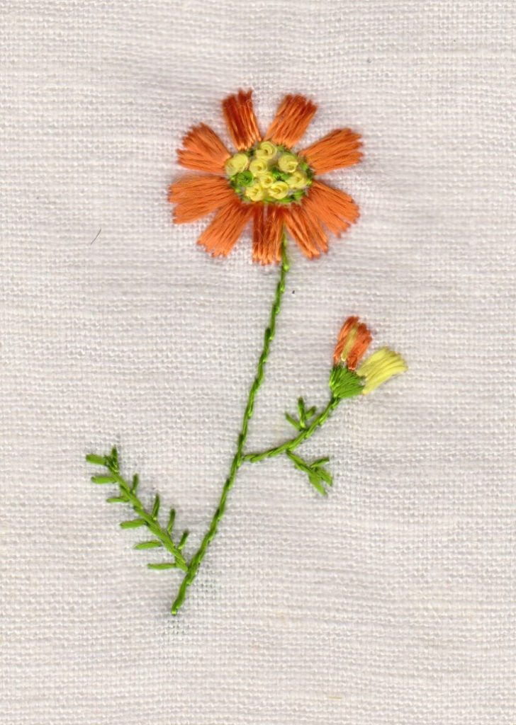 hand embroidery--one homemaking specialty