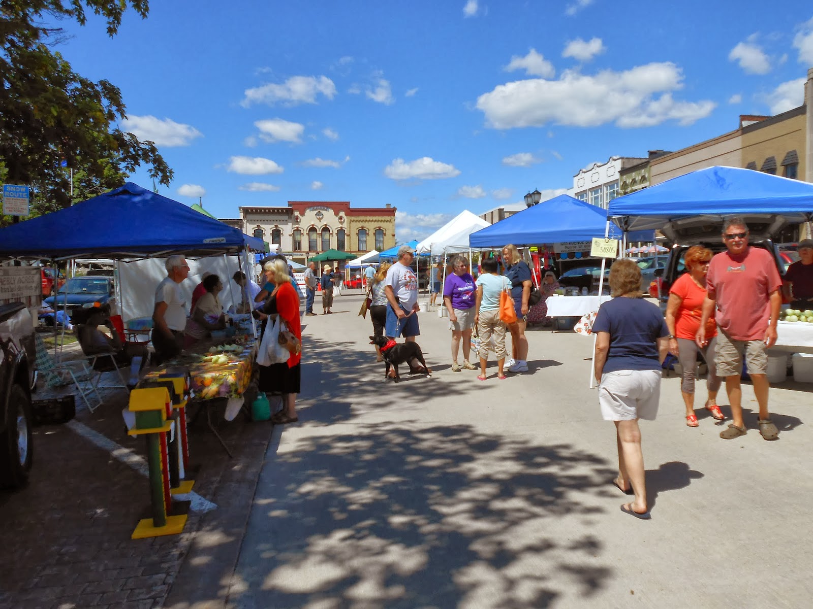 sunny day farmers market