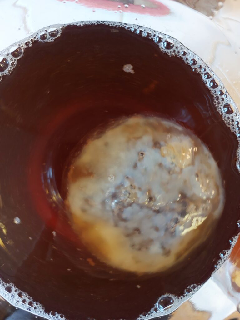 kombucha scoby